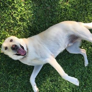 Meet your Posher, Marco